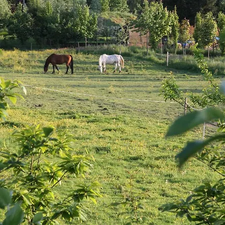 Les Hirondelles, Chambres D'hotes Evrehailles